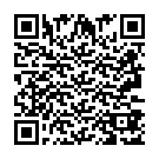 QR-koodi puhelinnumerolle +2693387124