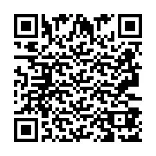 Codice QR per il numero di telefono +2693387129