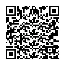 Codice QR per il numero di telefono +2693387133