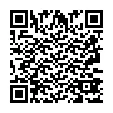 QR код за телефонен номер +2693387134