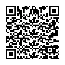 QR код за телефонен номер +2693387144