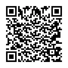 Codice QR per il numero di telefono +2693387153