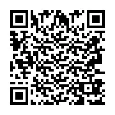 QR Code pour le numéro de téléphone +2693387156