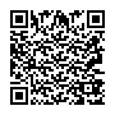 Código QR para número de teléfono +2693387169