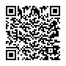 QR Code pour le numéro de téléphone +2693387194