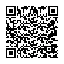 QR код за телефонен номер +2693387199