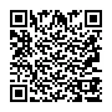 QR код за телефонен номер +2693387303