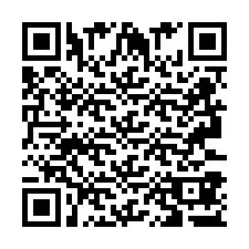 QR Code pour le numéro de téléphone +2693387312