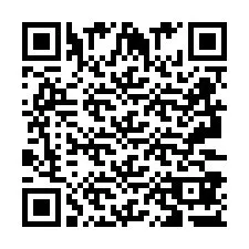 Codice QR per il numero di telefono +2693387328