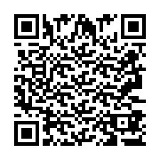 QR Code pour le numéro de téléphone +2693387329