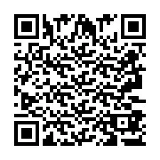 QR Code pour le numéro de téléphone +2693387338