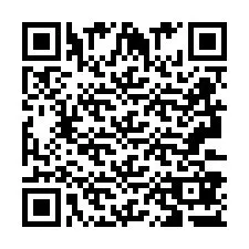 QR код за телефонен номер +2693387365