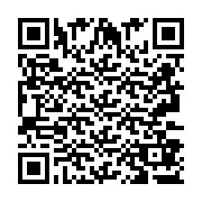 QR код за телефонен номер +2693387374