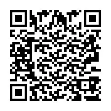 Kod QR dla numeru telefonu +2693387380