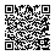 Codice QR per il numero di telefono +2693387382