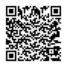 Codice QR per il numero di telefono +2693387389