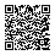 QR-код для номера телефона +2693387390