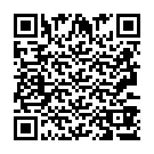 Codice QR per il numero di telefono +2693387391