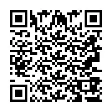 Codice QR per il numero di telefono +2693387397