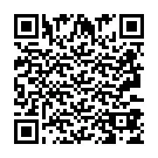 QR Code pour le numéro de téléphone +2693387410