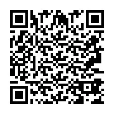 QR-код для номера телефона +2693387419