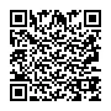 QR Code pour le numéro de téléphone +2693387444