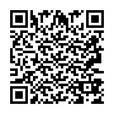 QR код за телефонен номер +2693387459