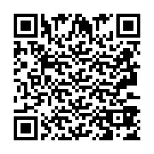 QR Code pour le numéro de téléphone +2693387490