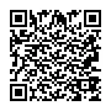 QR Code pour le numéro de téléphone +2693387497