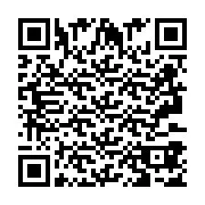 QR-Code für Telefonnummer +2693387500