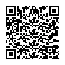 QR Code pour le numéro de téléphone +2693387501