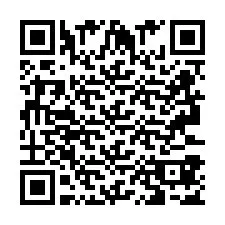 QR Code pour le numéro de téléphone +2693387502