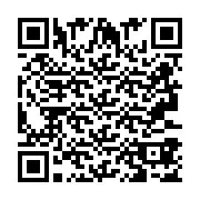 Codice QR per il numero di telefono +2693387503