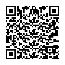 QR-Code für Telefonnummer +2693387504