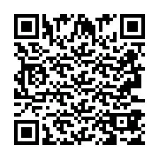 Codice QR per il numero di telefono +2693387516