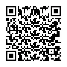 QR-koodi puhelinnumerolle +2693387517