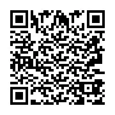 Codice QR per il numero di telefono +2693387518