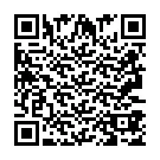 QR-koodi puhelinnumerolle +2693387519