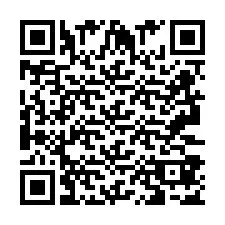 QR код за телефонен номер +2693387529