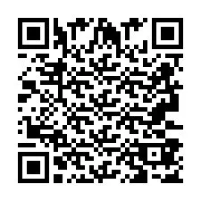 QR Code pour le numéro de téléphone +2693387537