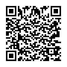 QR код за телефонен номер +2693387538