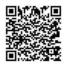 Codice QR per il numero di telefono +2693387544