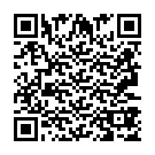 QR kód a telefonszámhoz +2693387549