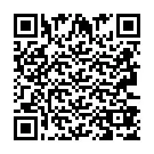 QR-код для номера телефона +2693387562