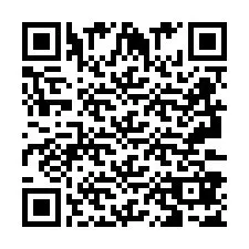 QR Code pour le numéro de téléphone +2693387564