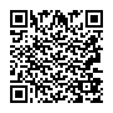 QR Code pour le numéro de téléphone +2693387575