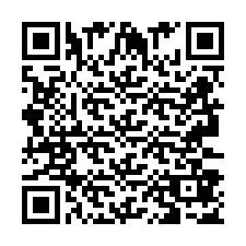 QR Code pour le numéro de téléphone +2693387576