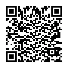 Codice QR per il numero di telefono +2693387599