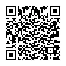 QR Code pour le numéro de téléphone +2693387624