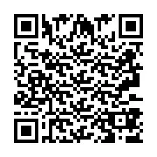 QR Code pour le numéro de téléphone +2693387640